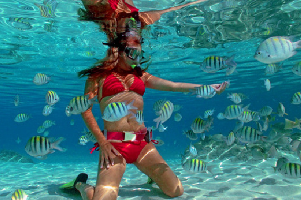 Snorkeling Girl with Fish