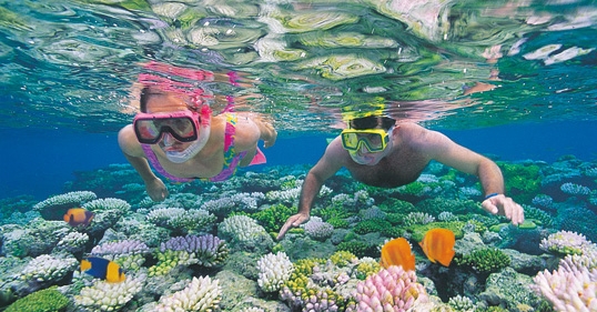 Australia Great Barrier Reef Scuba Diving