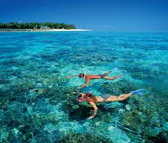 Great Barrier Reef Holidays Tours That Depart From Queensland
