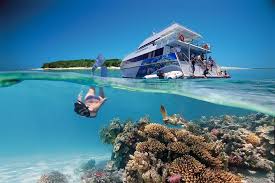 Sunset Safari Great Barrier Reef Vacation Packages