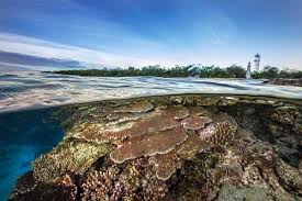 2020 Sunset Safari Great Barrier Reef Tours New Year Offer